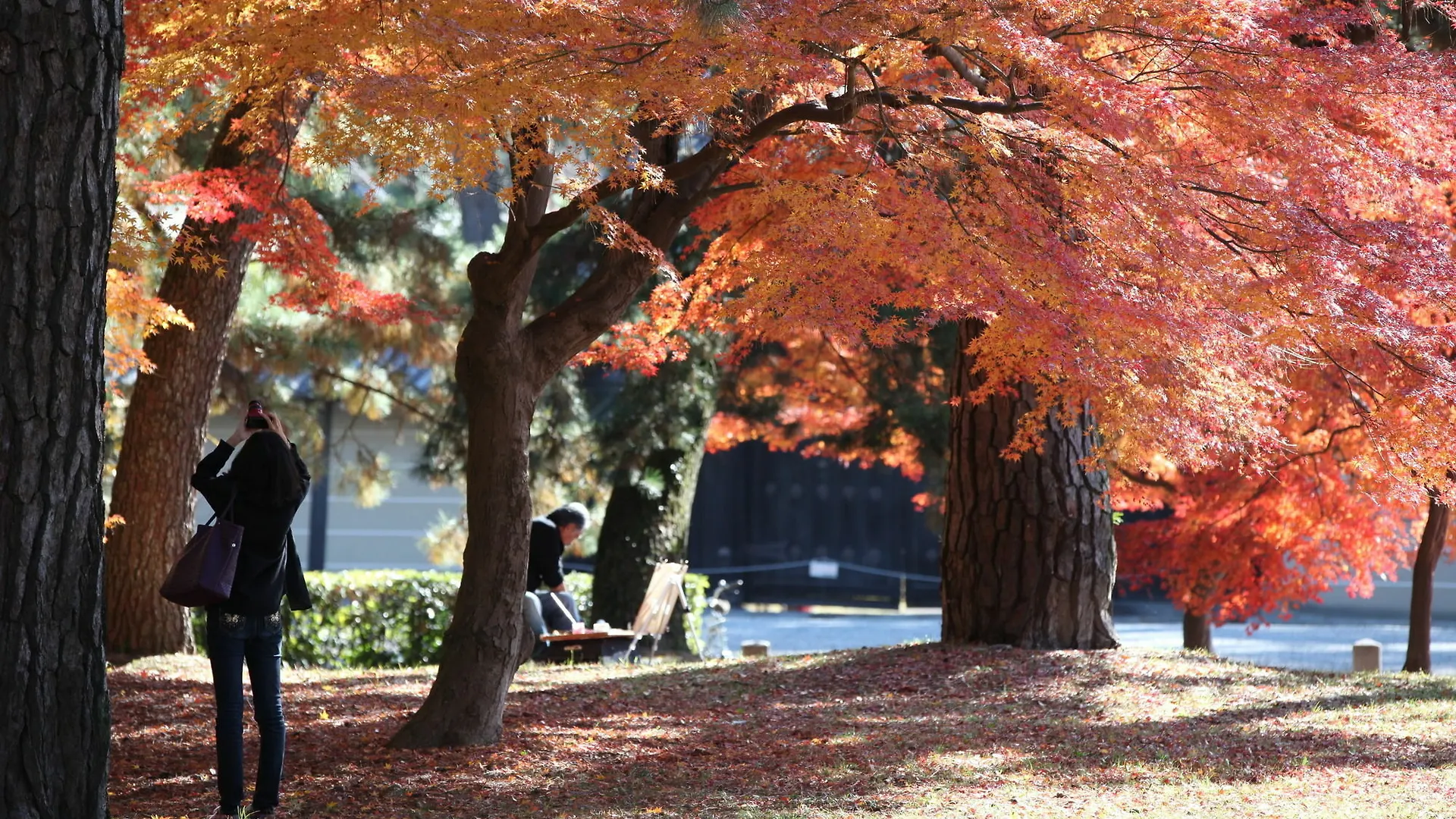 Guest House Makotoya Kyoto 0*,  Japan